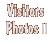 Visitors Photos