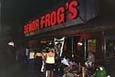 spring break photos- senior frogs